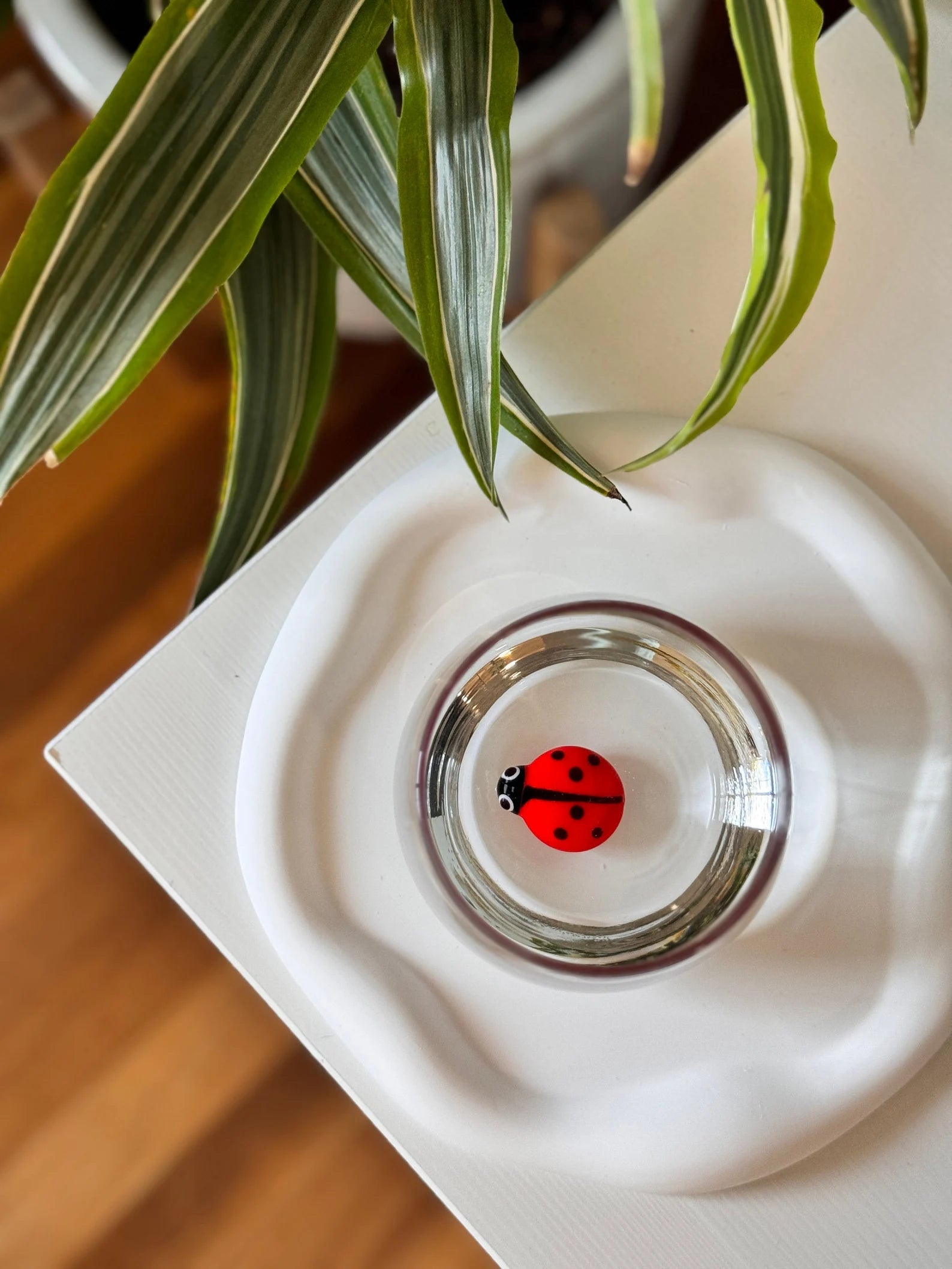 Tiny Ladybug Murano Glass Cups – Handmade Nature Drinkware, Unique Collectible Gift