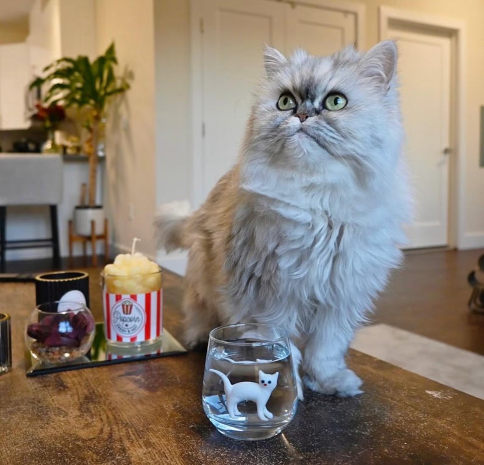 Drinking Murano Glass with Cat Figurine Wine Glass Wine Lover Gift Funny Wine Glass Wine Gifts Stemless Wine Glass